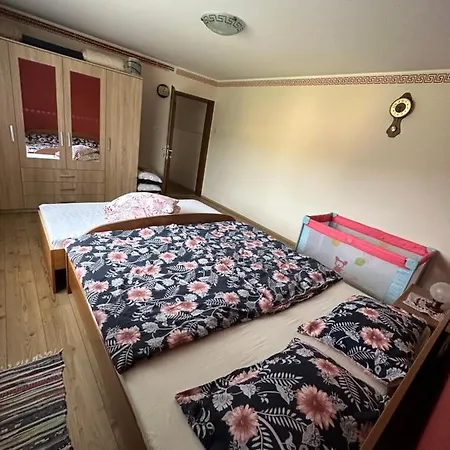 Apartma Zeleni Raj Ptuj Exterior photo
