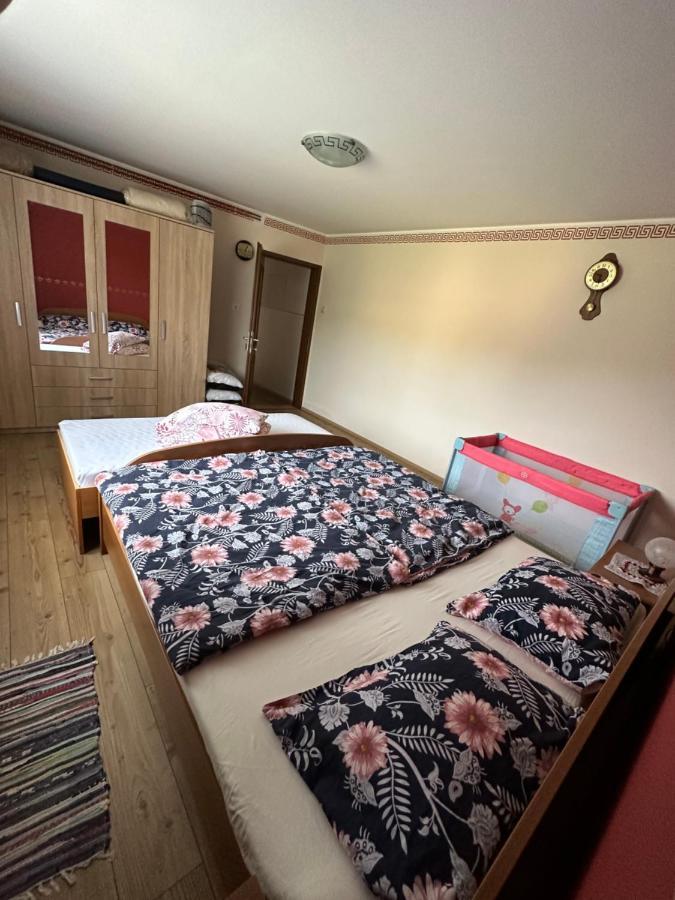 Apartma Zeleni Raj Appartement Ptuj